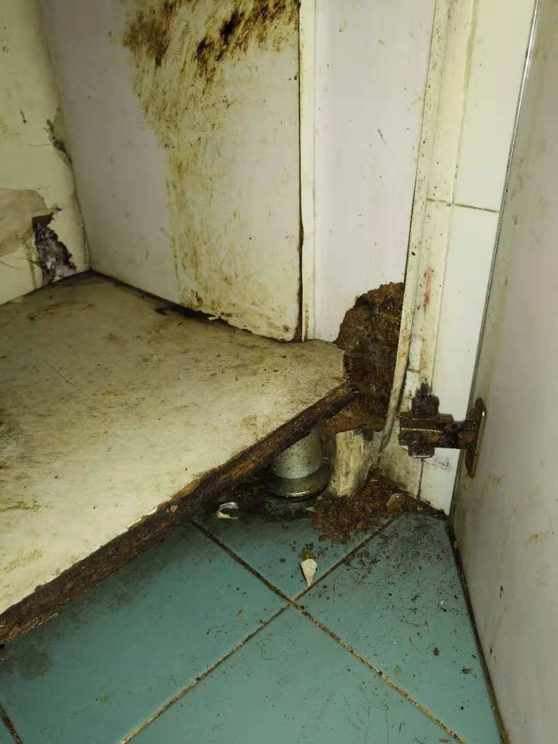 别墅装修：工具推荐与对比解析